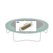 Berg Talent Goldspring (x10)