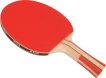 Buffalo Tafeltennisbat Active miniatuur