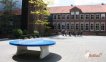 Heblad Tafeltennistafel Beton Blauw Rond miniatuur