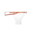 Lifetime Basketbal Bord Rookie miniatuur