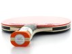 Cornilleau Excell 2000 Carbon Tafeltennisbat miniatuur